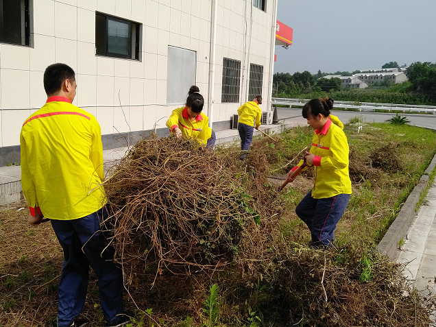 圖片877.png 圖片877.png