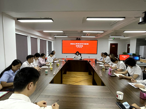 成渝公司黨委委員、工會主席、職工監(jiān)事李桃講授黨史學習教育專題黨課.png
